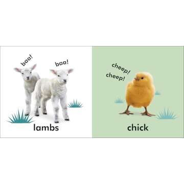 Baby Touch and Feel: Baby Animals