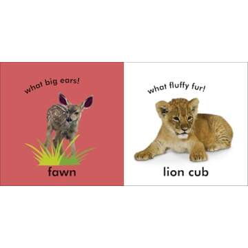 Baby Touch and Feel: Baby Animals