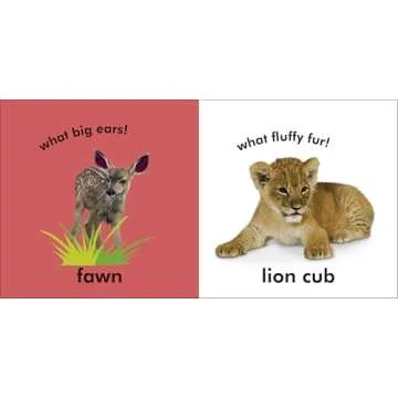 Baby Touch and Feel: Baby Animals