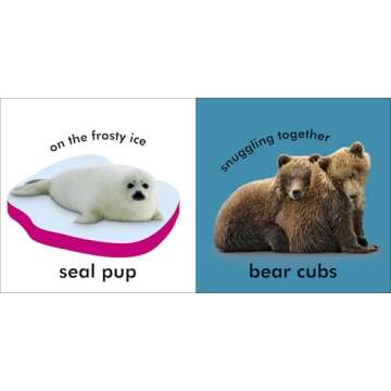 Baby Touch and Feel: Baby Animals