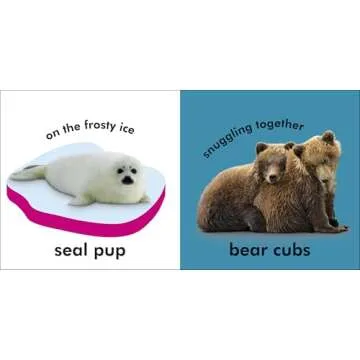 Baby Touch and Feel: Baby Animals