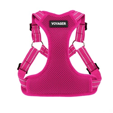 Voyager Adjustable Dog Harness - Comfortable, No-Pull, Reflective for Safety
