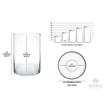 Royal Imports Flower Glass Vase Decorative Centerpiece for Home or Wedding - Cylinder Shape, 8" Tall, 5" Opening, Clear