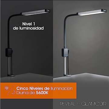 Versatile Reveal Light Kit for Beauty and Artistry