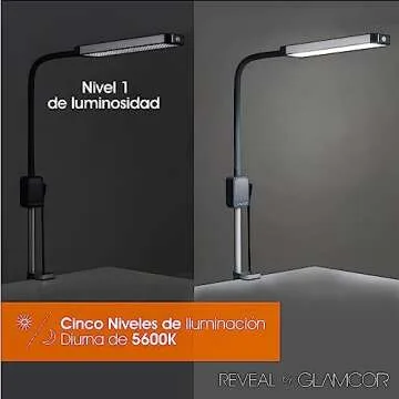 Versatile Reveal Light Kit for Beauty and Artistry