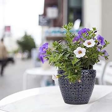 DeeCoo 2 Pack Ceramic Plant Pots Indoor, Flower Pot Set 5.5 + 6.5 Inch, Blue Planters for Plants, Clay with Drainage Hole Snake Orchid, Succulent, Cactus - Outdoor Garden