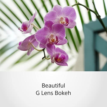 Sony SELP18105G E PZ 18-105mm F4 Lens for E-Mount