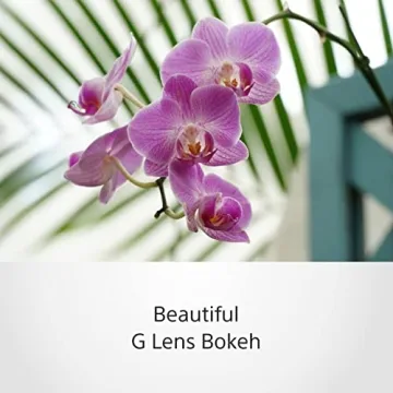 Sony SELP18105G E PZ 18-105mm F4 Lens for E-Mount