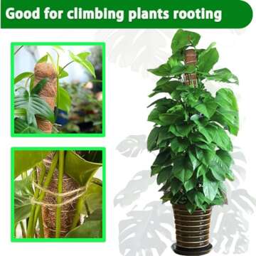 Moss Pole, 48 Inch Bendable Monstera Plant Support, Moss Poles for Climbing Plants Accessories Indoor, Coir Plant Pole Sticks Support Stakes for Potted Plants, Pothos, Philodendron, PlantPolex