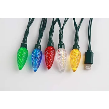 Cewuidy LED Christmas Lights Charging Cable,USB and Bulb Charger,50inch 10led Multicolor Available with Phone11,11Pro,11Pro Max,12,12Pro,12Pro Max,13,13Pro,13Pro Max,14,14Pro,14Pro Max etc (1pcs)