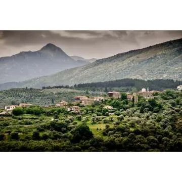 Greek Olive Oil 2023