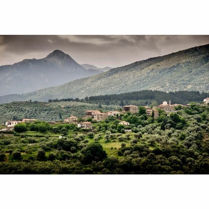 Greek Olive Oil 2023