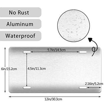 Delerain License Plate Cover for Fun Auto Home Decor