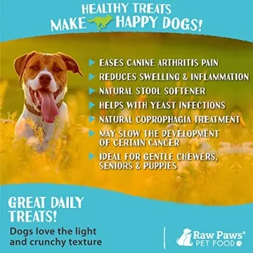 Raw Paws Green Lamb Tripe Sticks for Healthy Dogs