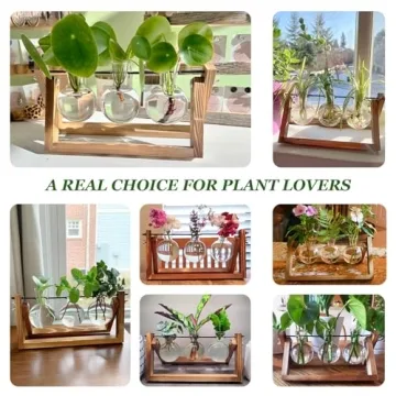Renmxj Plant Propagation Station with Wooden Stand