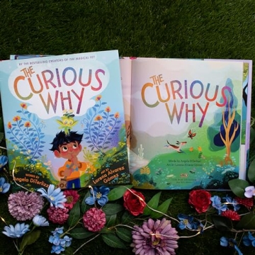The Curious Why by Angela Diterlizzi for Young Readers