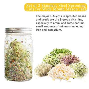 Stainless Steel Sprouting Lids for Wide Mouth Mason Jars - Strainer Lid for Canning Jars and Seed Sprouting Screen