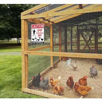 Funny Chicken Lady Sign for Farm Decor and Gifting