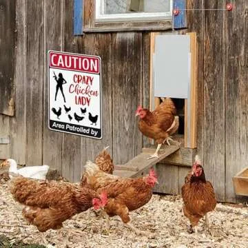 Funny Chicken Lady Sign for Farm Decor and Gifting