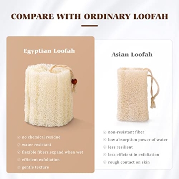 BEDELITE Natural Loofah Sponge - Eco-Friendly Bath Scrubbers