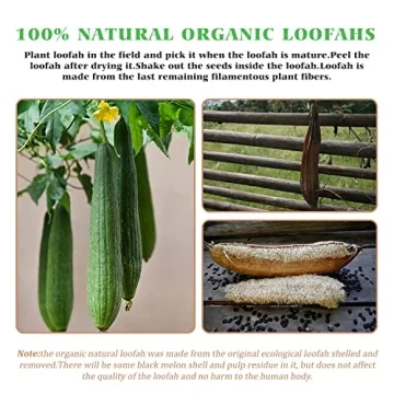 BEDELITE Natural Loofah Sponge - Eco-Friendly Bath Scrubbers