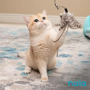 Nala Cat Feather Wand - Interactive, Telescoping Toy for Cats