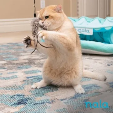 Nala Cat Feather Wand - Interactive, Telescoping Toy for Cats