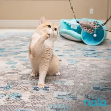 Nala Cat Feather Wand - Interactive, Telescoping Toy for Cats