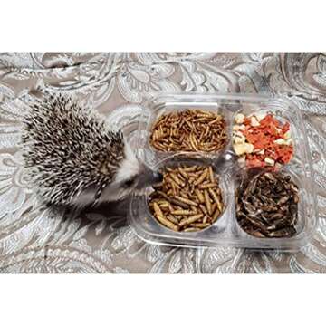 Hedgehog Treat Variety Pack - Healthy Natural Treat Assortment - Dried Mealworms, Dried Black Soldier Fly Larvae, Dried Crickets, Dried Apples & Carrots - Sampler Variety Value Package