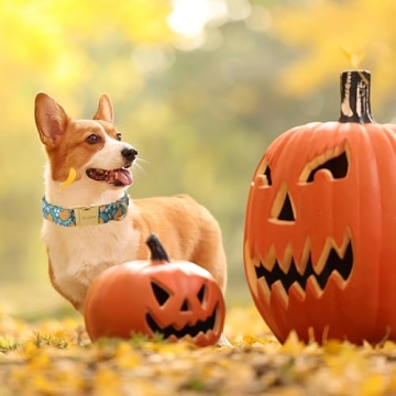 Durable Halloween Dog Collar - Lovely and Adjustable