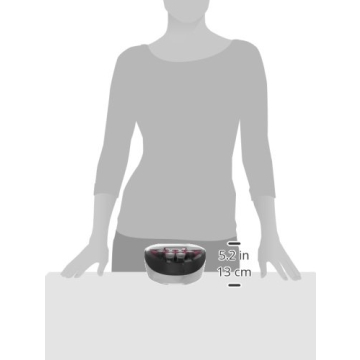 Remington Ionic Conditioning Hair Setter for Gorgeous Curls