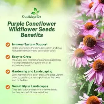 Outsidepride 1000 Seeds Perennial Echinacea Purple Coneflower Wild Flower Seeds for Planting