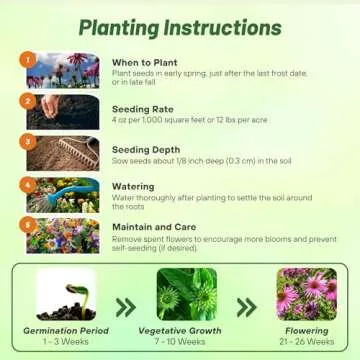 Outsidepride 1000 Seeds Perennial Echinacea Purple Coneflower Wild Flower Seeds for Planting