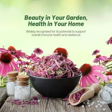 Outsidepride 1000 Seeds Perennial Echinacea Purple Coneflower Wild Flower Seeds for Planting