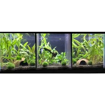 Lifewithpets 20 Gallon Long Aquarium Divider for Tanks