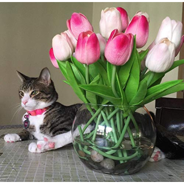 Beautiful Clear Bubble Bowl Glass Vase for Any Occasion