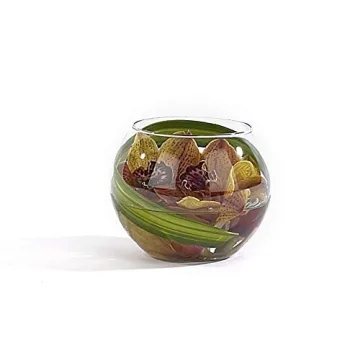 Beautiful Clear Bubble Bowl Glass Vase for Any Occasion
