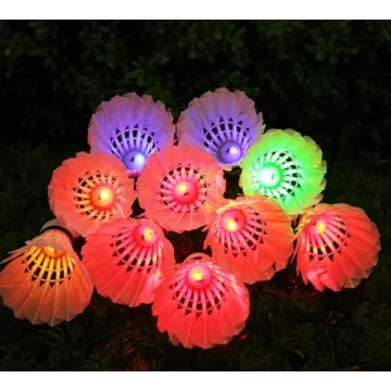 Inngree LED Badminton Shuttlecock 10 Pack - Colorful Nighttime Fun
