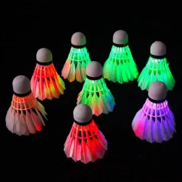 Inngree LED Badminton Shuttlecocks 10 Pack Glow Night Game