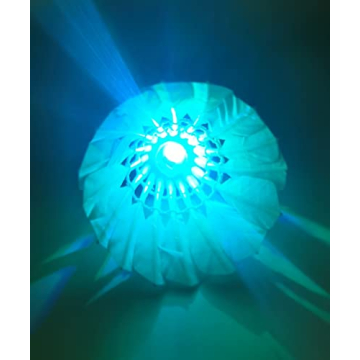 Inngree LED Badminton Shuttlecocks 10 Pack Glow Night Game