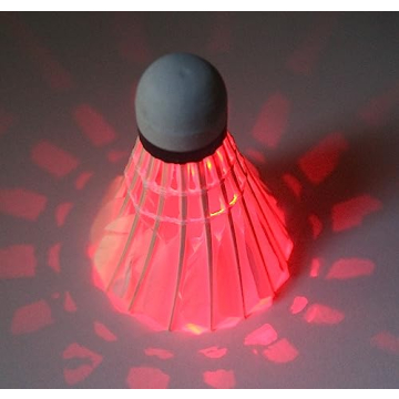 Inngree LED Badminton Shuttlecocks 10 Pack Glow Night Game