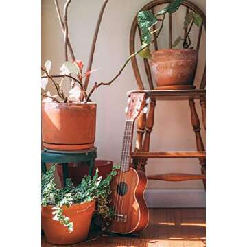 Kala KA-S Mahogany Soprano Ukulele for All Music Lovers