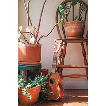 Kala KA-S Mahogany Soprano Ukulele for All Music Lovers