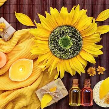 Buy Zeyune 10 Pcs Sunflower Centers for DIY Crafts