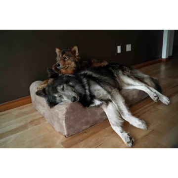 Big Barker Orthopedic Dog Bed for Large Dogs - 10-Year Warranty