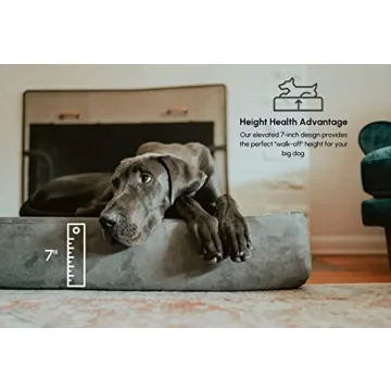 Big Barker Orthopedic Dog Bed for Large Dogs - 10-Year Warranty