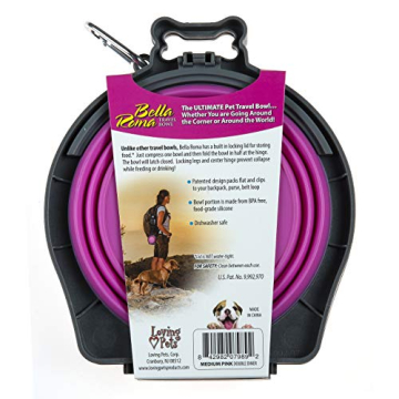 Collapsible Double Diner Portable Dog Bowl for Travel