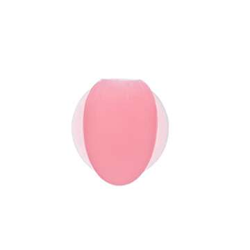 An-self Silicone Lip Brush Set with Covers - 10pcs