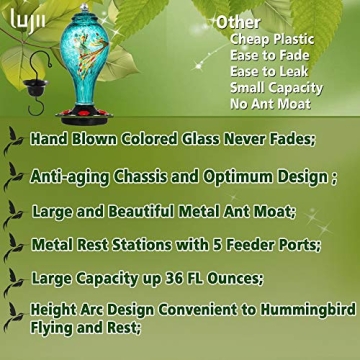 Stunning LUJII Hummingbird Feeder - 36 Ounce Capacity