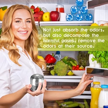 10 Year Refrigerator Deodorizer for Odor-Free Freshness